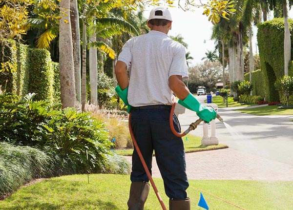 About Charleston IL Pest Control